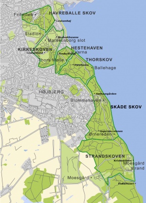 Marselisborgskovene.jpg