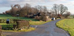 DSC 8565--Brandstrup.jpg