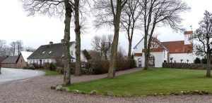 DSC 8410--Todbjerg.jpg