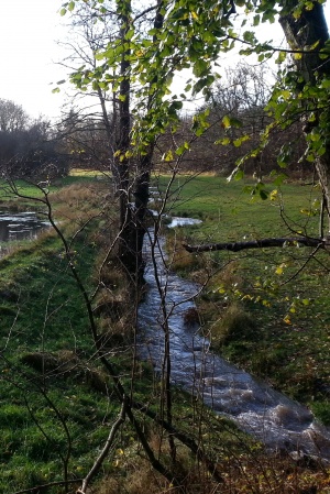 Hovedgrøften set mod syd fra nordenden af Beder Bypark.jpg