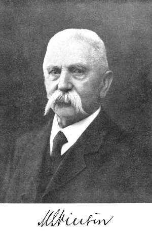 Michael Lollesgaard Nielsen.jpg