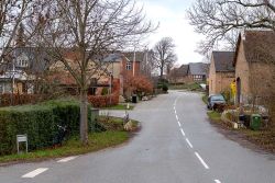 DSC 8145--Borum.jpg